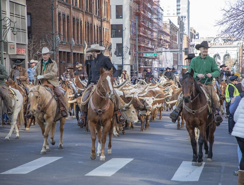 National Western Stock Show Parade RTDDenver