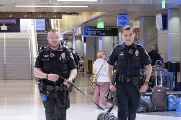Two transit police K-9 officers at union station thumbnail