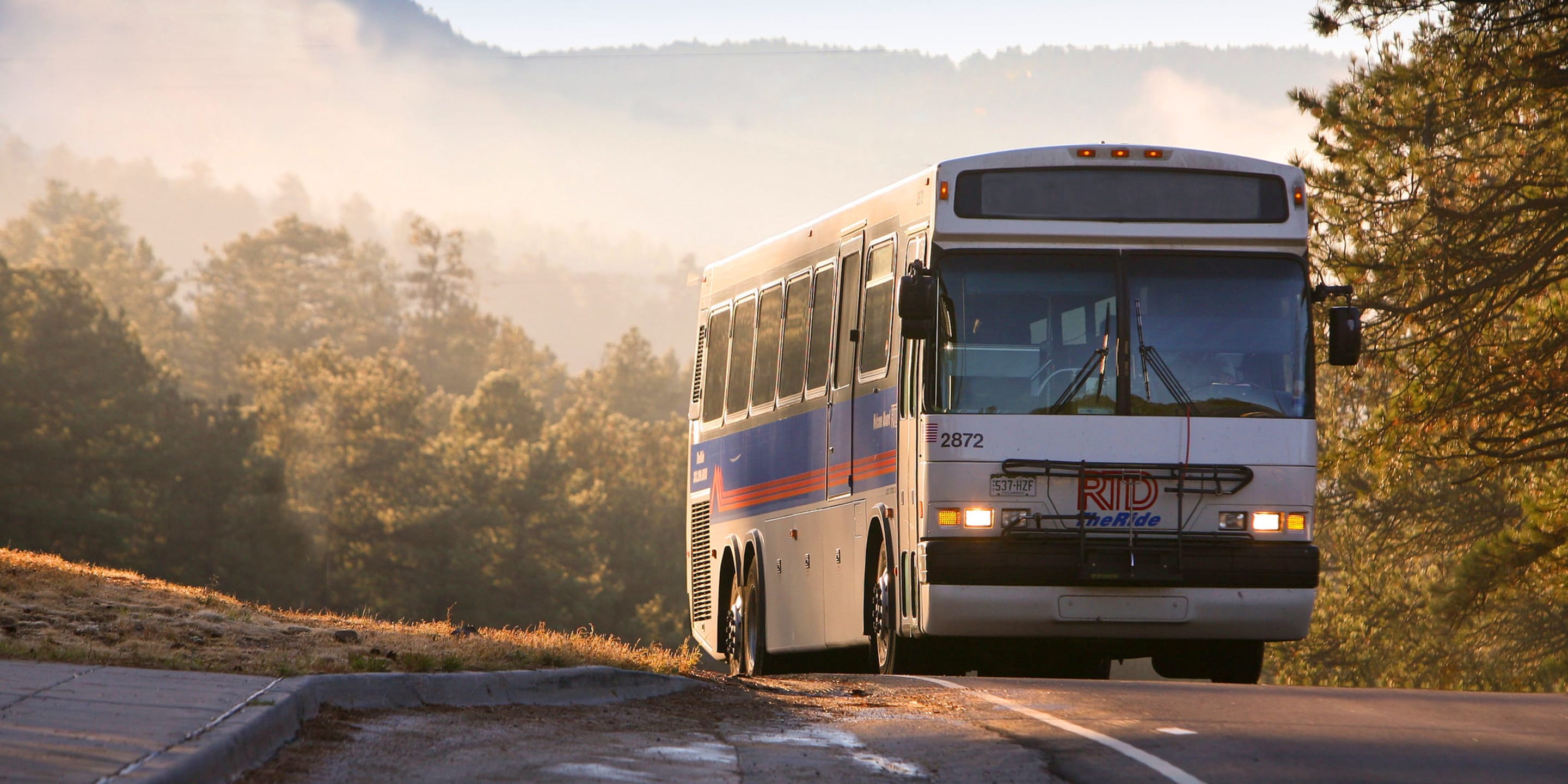 RTD bus coming up road in a forested area